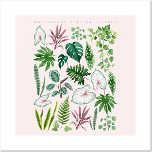 Watercolor Tropical Plants II Posters and Art